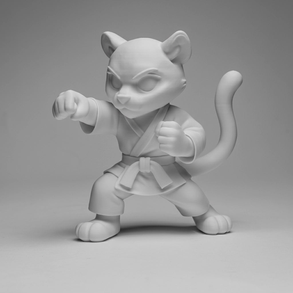 Karate Tiger