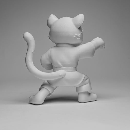 Karate Tiger
