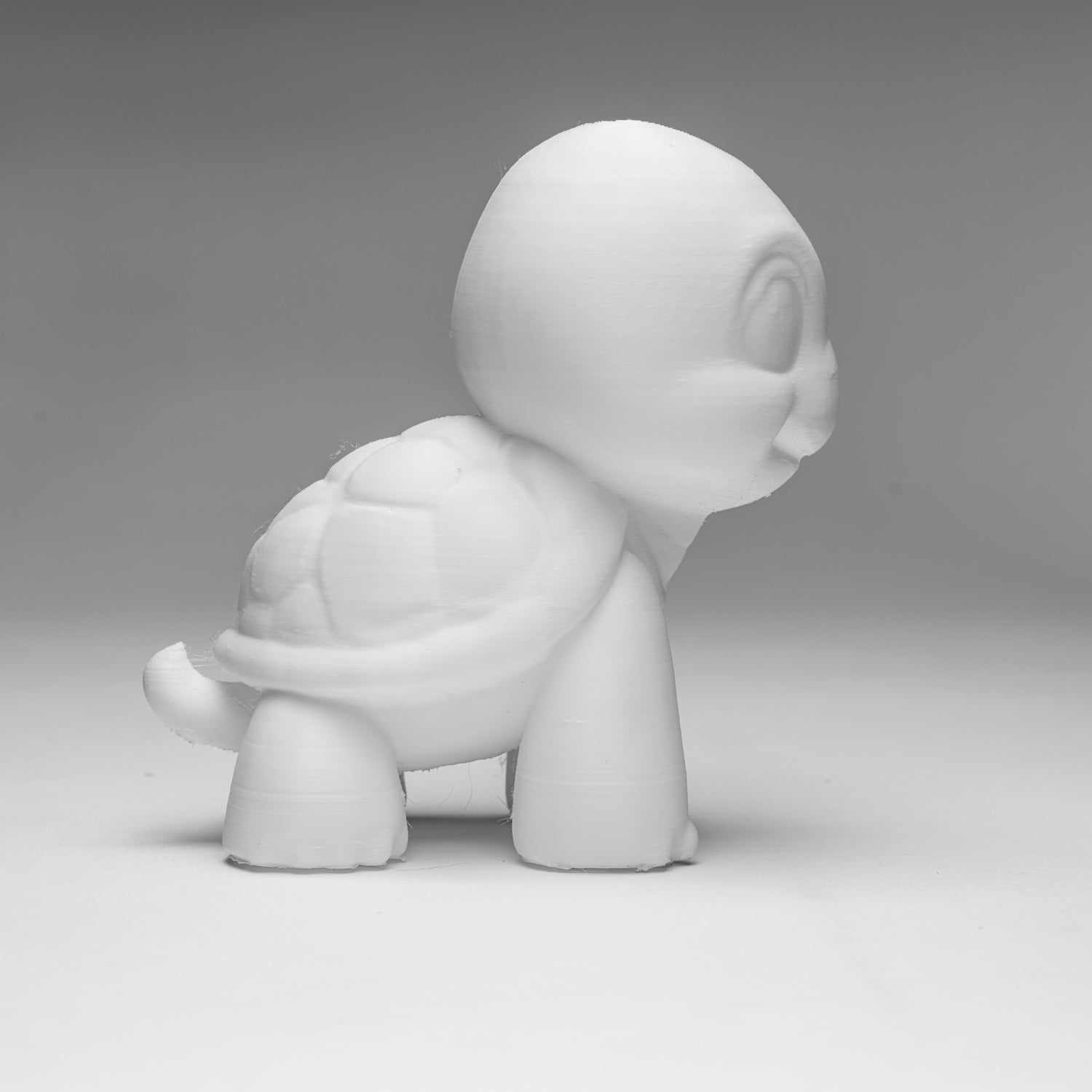 Tilly the Happy Turtle