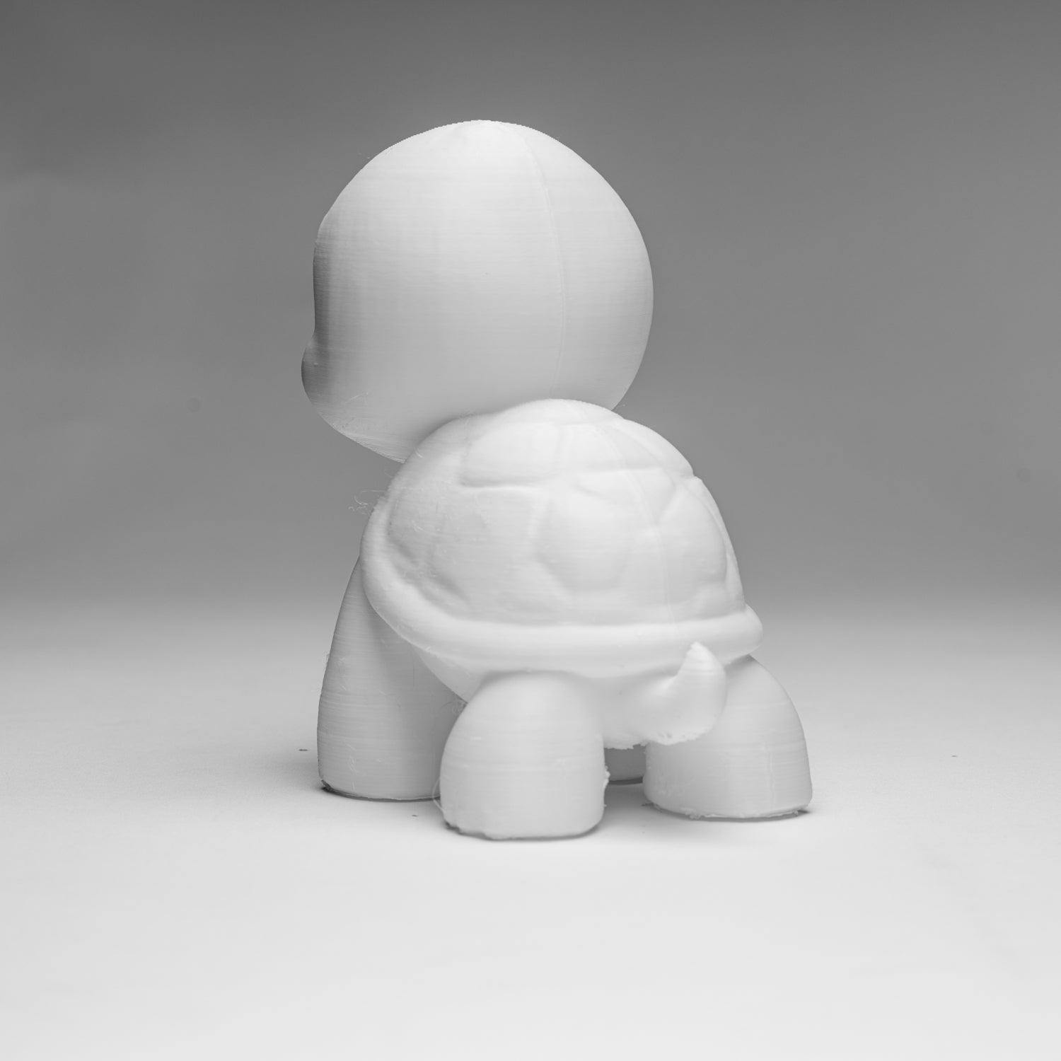 Tilly the Happy Turtle